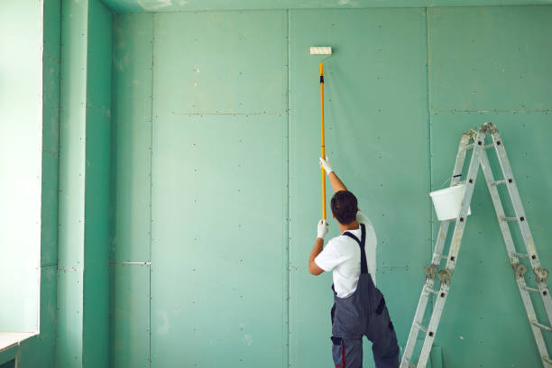 Best Attic Mold Removal  in Wadsworth, IL