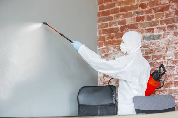  Wadsworth, IL Mold Removal Pros