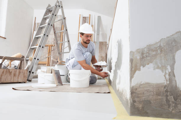Professional Mold Removal in Wadsworth, IL