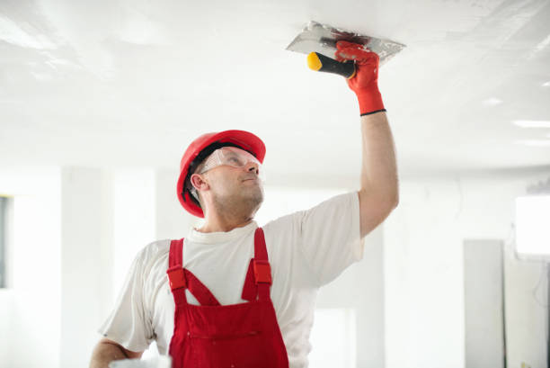 Best Commercial Mold Inspection  in Wadsworth, IL