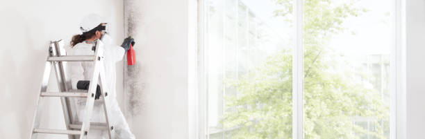 Best Biohazard Mold Removal  in Wadsworth, IL
