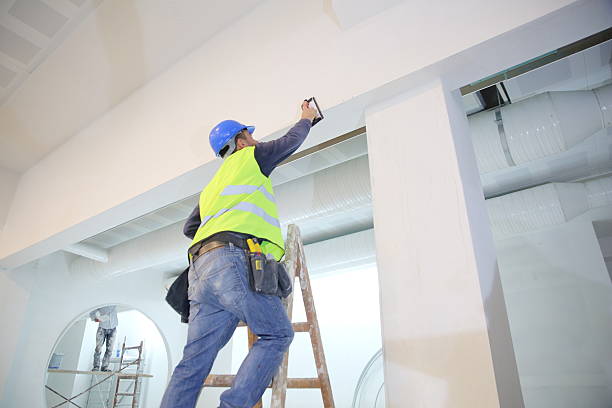 Best Residential Mold Inspection & Testing  in Wadsworth, IL