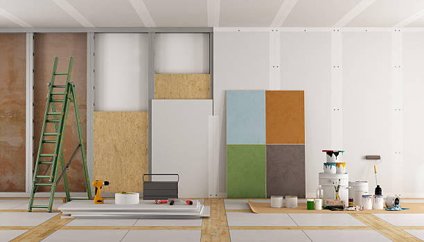 Best Basement Mold Removal  in Wadsworth, IL