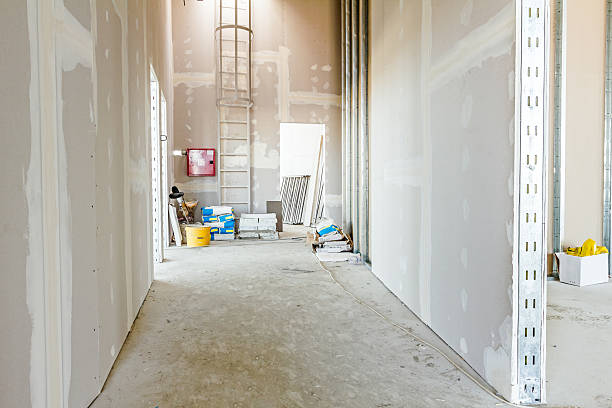 Best Mold Odor Removal Services  in Wadsworth, IL