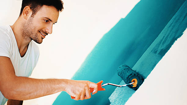 Best Basement Mold Removal  in Wadsworth, IL