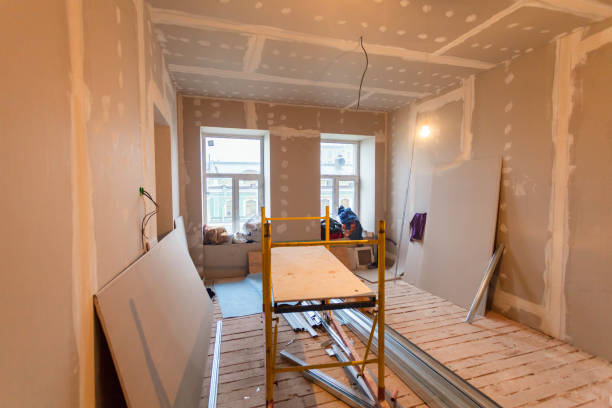 Best Mold Damage Restoration  in Wadsworth, IL