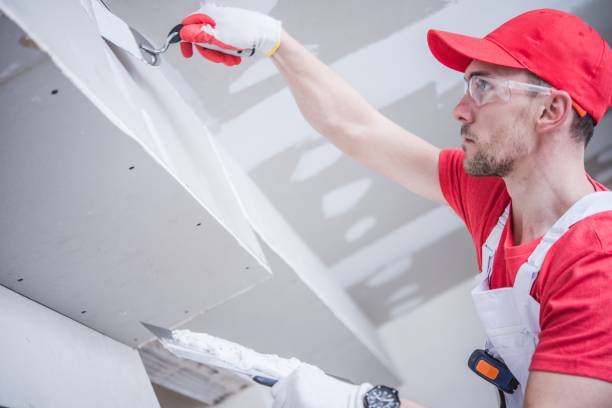 Best Forensic Mold Investigation  in Wadsworth, IL